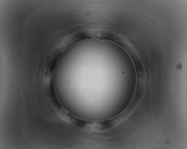 X0000101440125200807141315