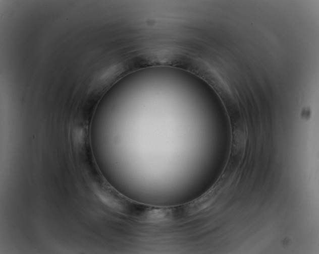 X0000101440126200807141315