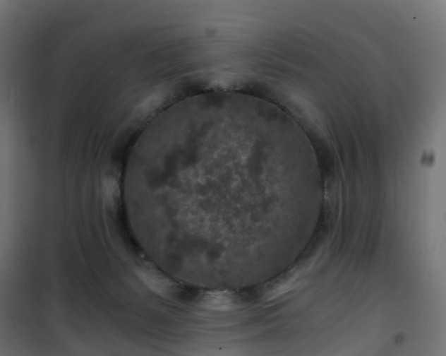 X0000101440127200807141315