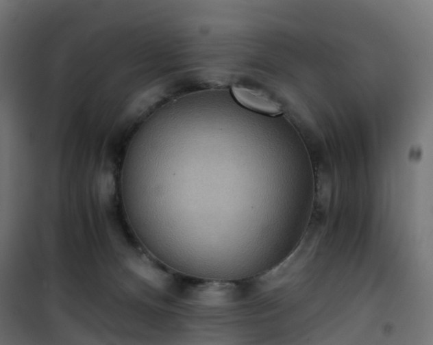 X0000101440128200807141315