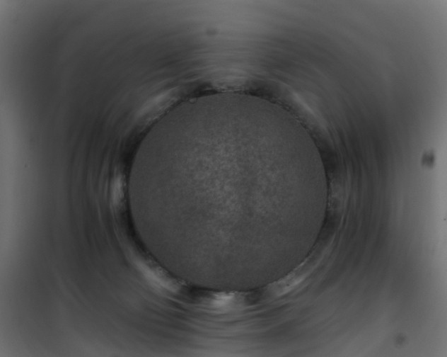 X0000101440130200807141315