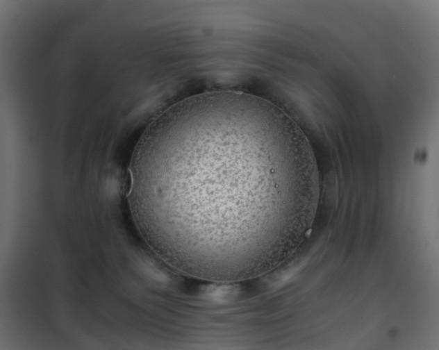 X0000101440135200807141315