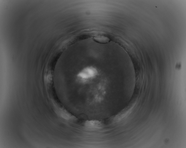 X0000101440137200807141315