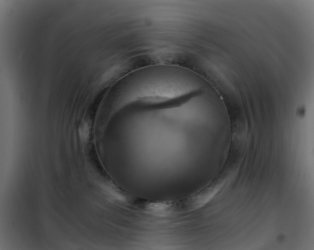 X0000101440139200807141315