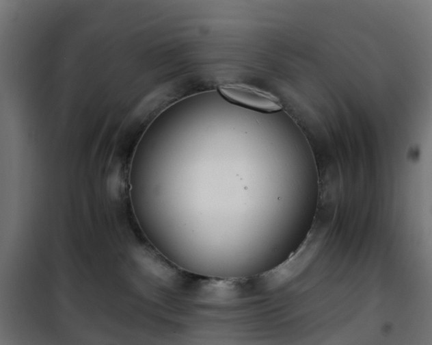 X0000101440140200807141315