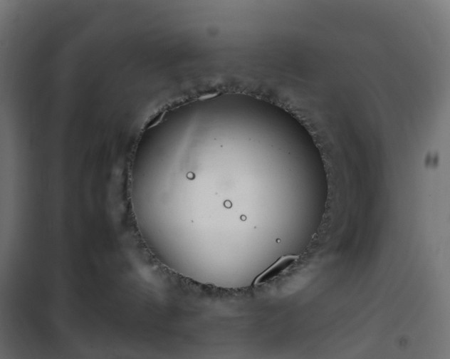 X0000101440144200807141315