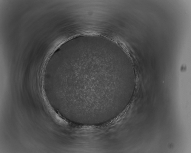 X0000101440145200807141314