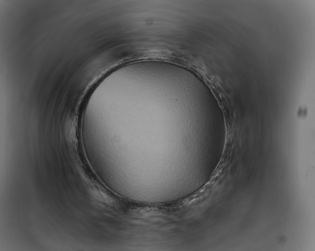 X0000101440146200807141315