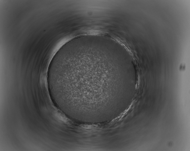 X0000101440147200807141315