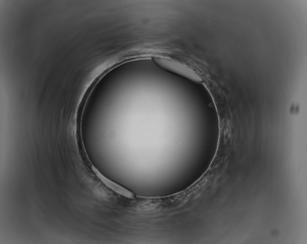 X0000101440148200807141315