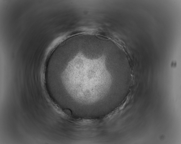 X0000101440149200807141315