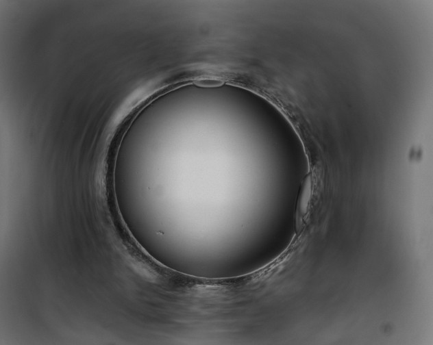 X0000101440150200807141315