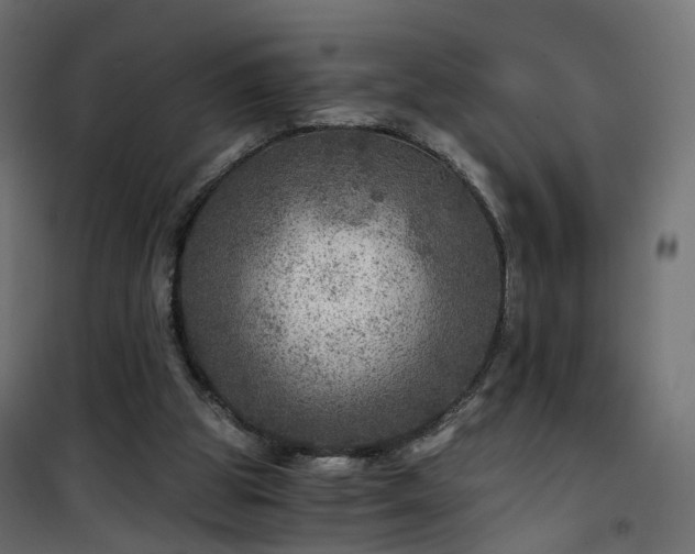 X0000101440153200807141315