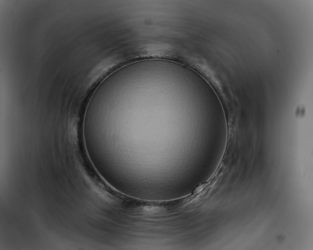 X0000101440154200807141315