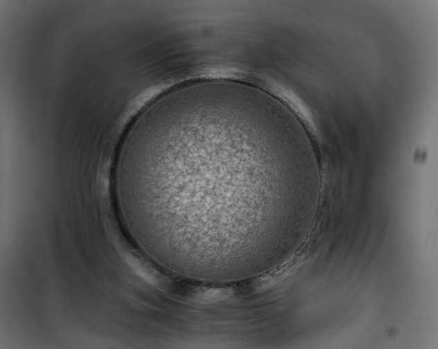 X0000101440155200807141315