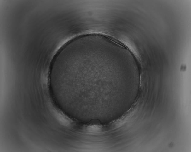 X0000101440156200807141315