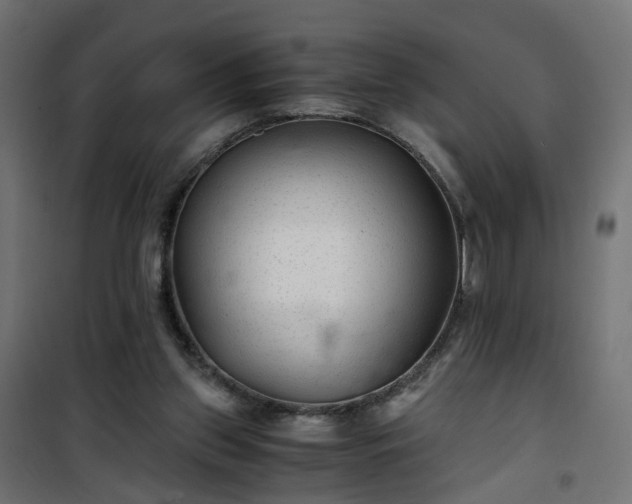 X0000101440157200807141315