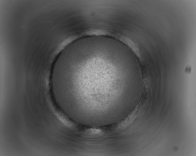 X0000101440159200807141315