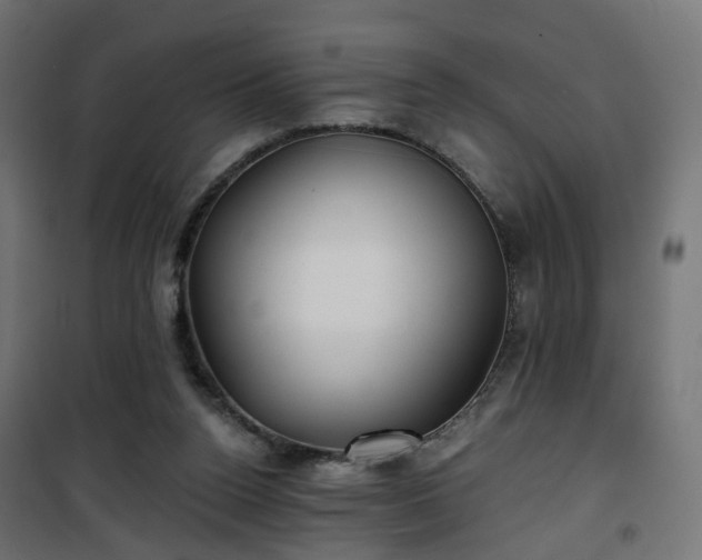 X0000101440160200807141315