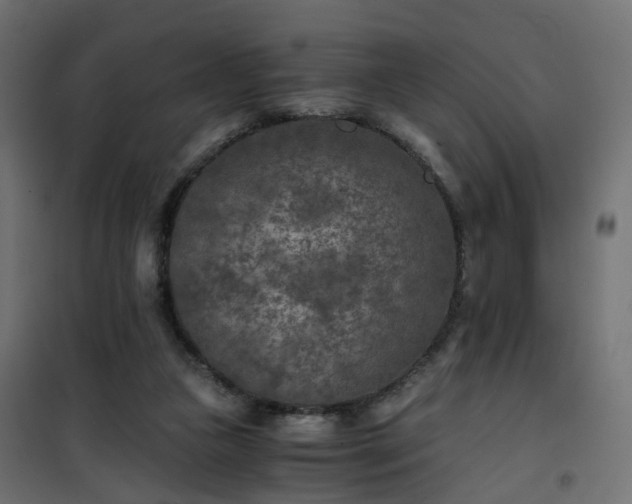 X0000101440161200807141315