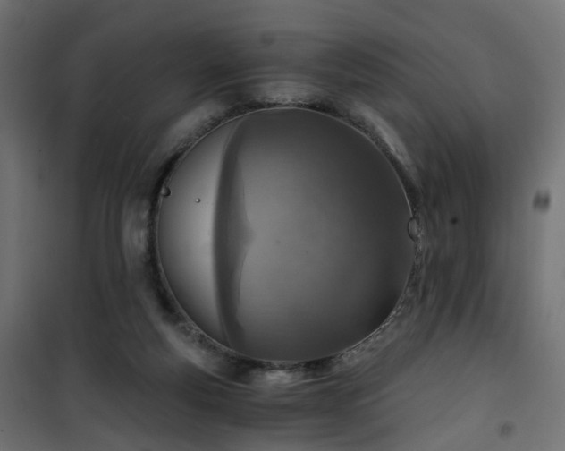 X0000101440163200807141315