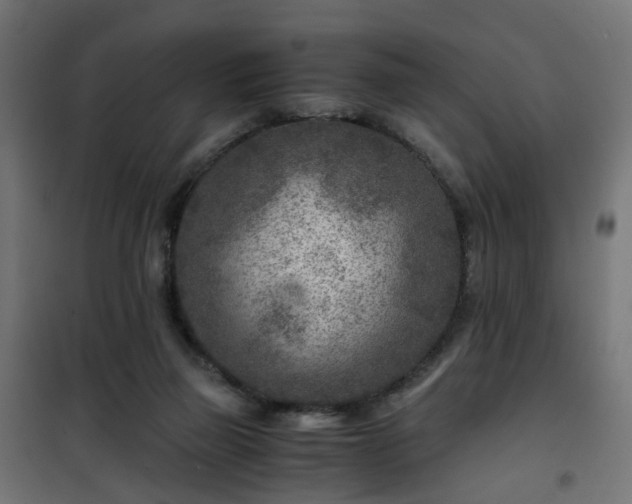 X0000101440165200807141315