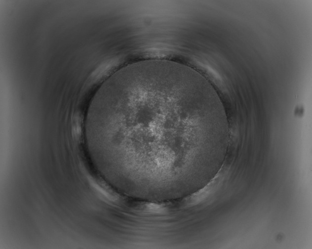 X0000101440166200807141315