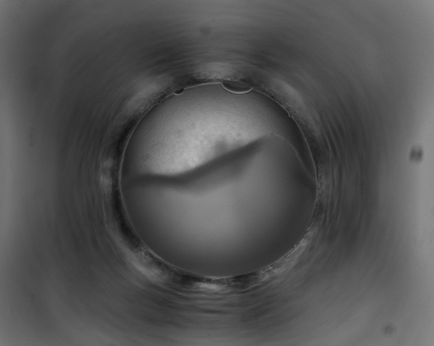 X0000101440167200807141315