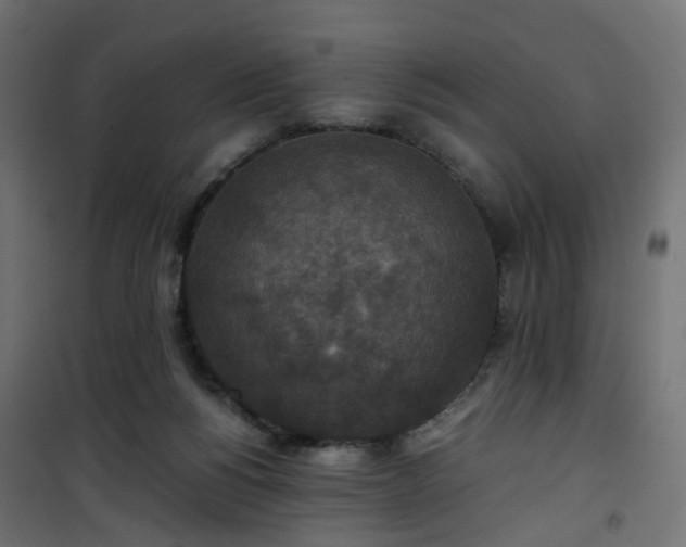 X0000101440168200807141315