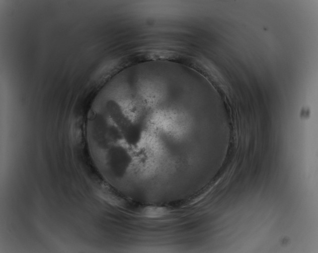 X0000101440169200807141315