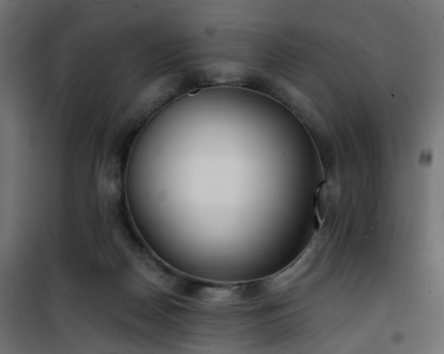 X0000101440170200807141315