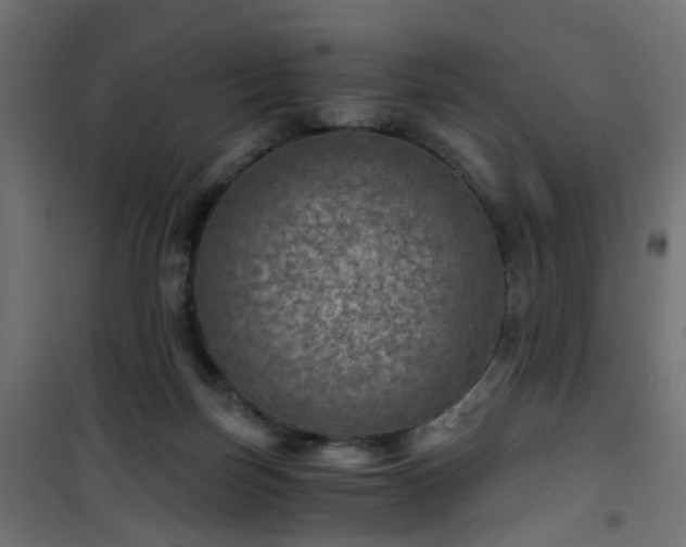 X0000101440171200807141315