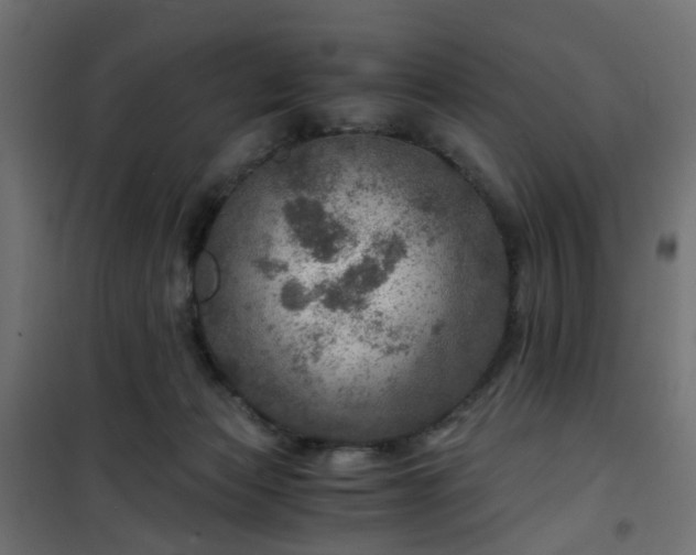 X0000101440173200807141315