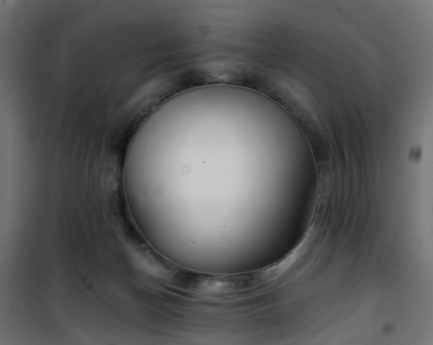 X0000101440174200807141315