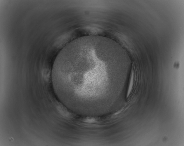 X0000101440177200807141315