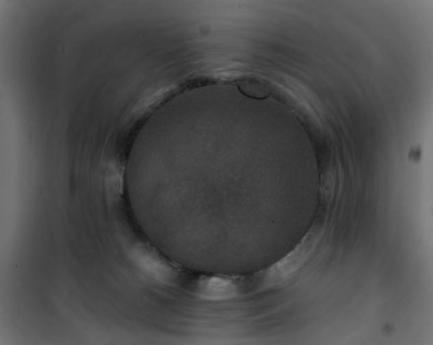 X0000101440180200807141315