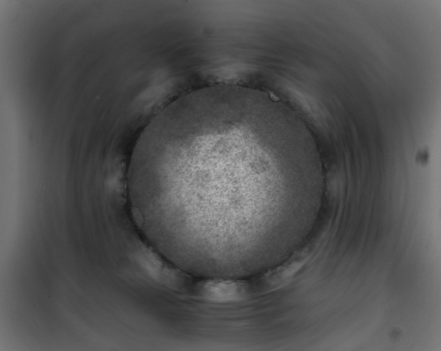 X0000101440181200807141315