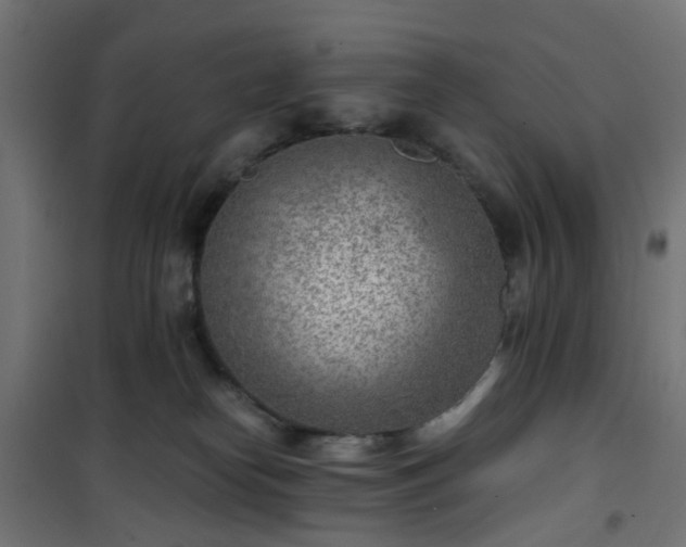 X0000101440182200807141315