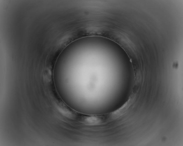 X0000101440183200807141315