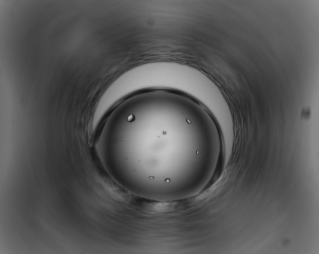 X0000101440184200807141315