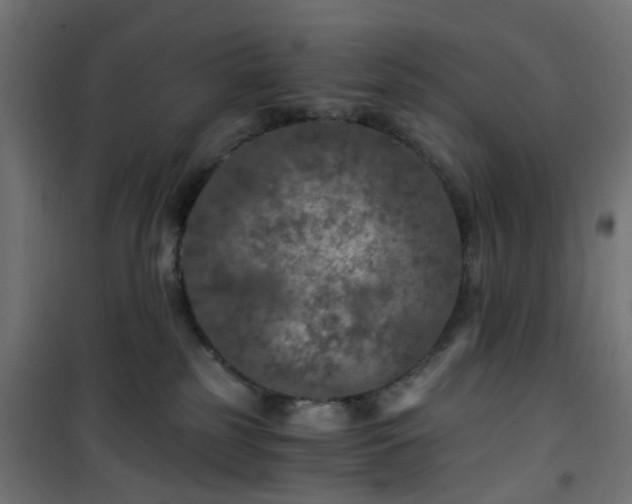 X0000101440185200807141315