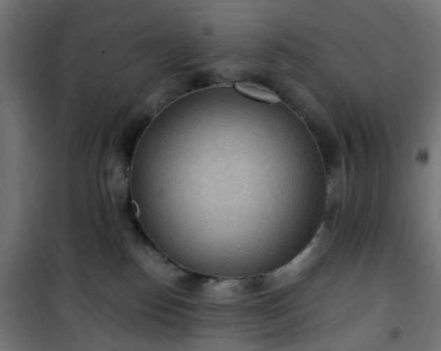 X0000101440186200807141315