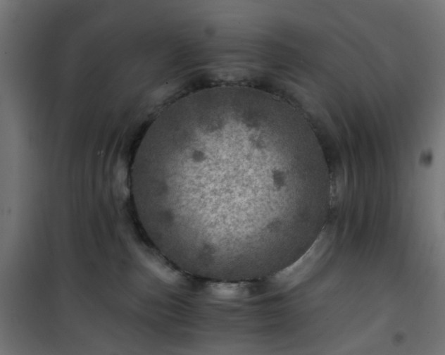 X0000101440187200807141315