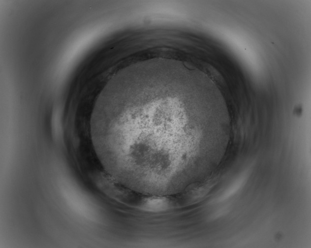 X0000101440189200807141315