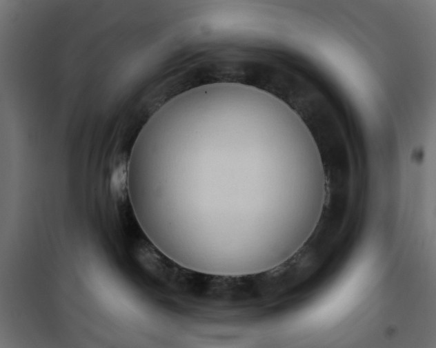 X0000101440190200807141315