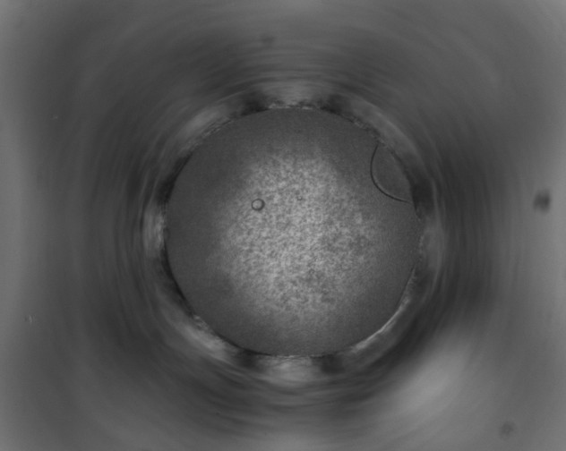 X0000101440191200807141315