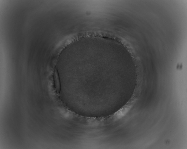 X0000101440192200807141315