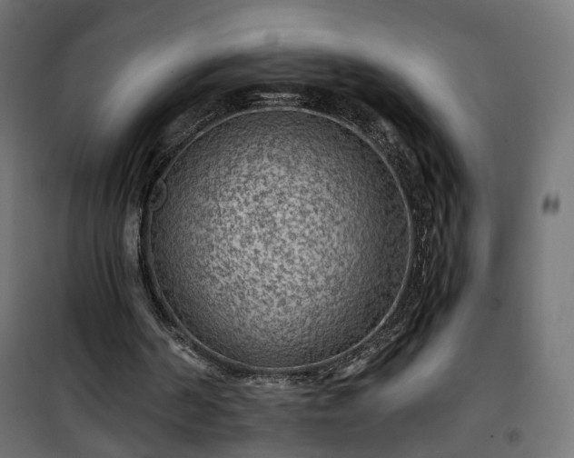 X0000101440194200807141314