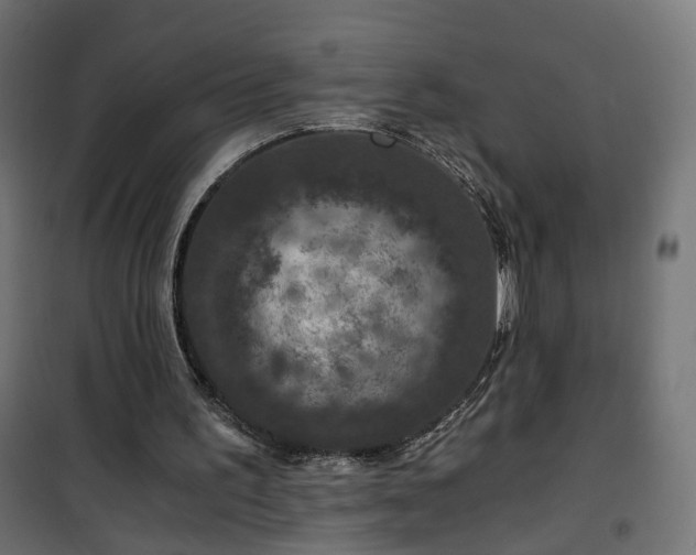 X0000101440195200807141314