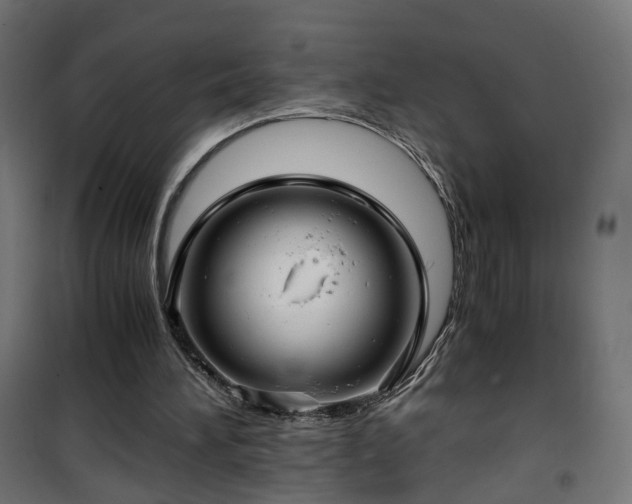 X0000101440196200807141314